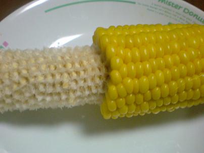 むしられたトウモロコシ